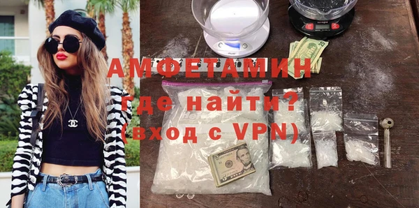 стафф Алзамай