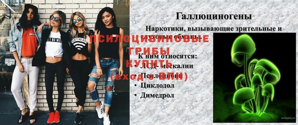 стафф Алексеевка