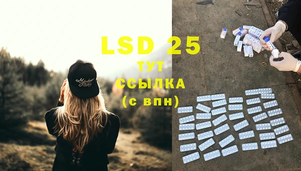 PSILOCYBIN Алексин