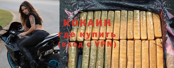 стафф Алзамай