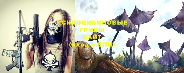 стафф Алзамай