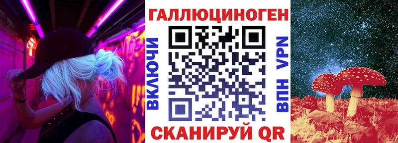 Псилоцибиновые грибы Magic Shrooms где купить наркоту Карачаевск