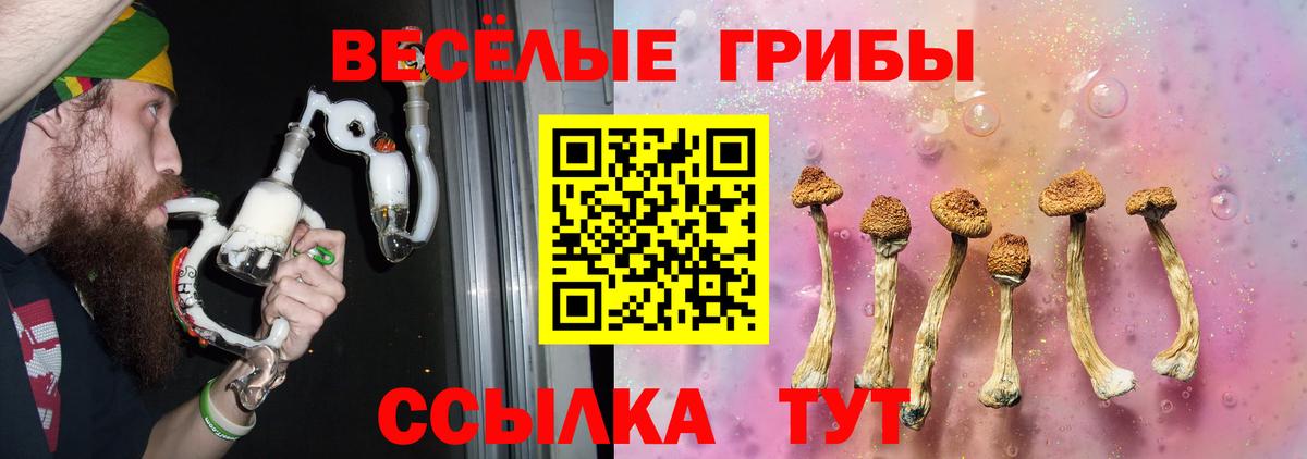 Галлюциногенные грибы мухоморы  Вход с VPN  купить наркотики сайты  Галлюциногенные грибы мухоморы  Карачаевск 