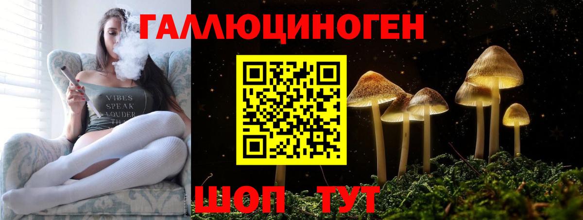 Галлюциногенные грибы ЛСД Карачаевск