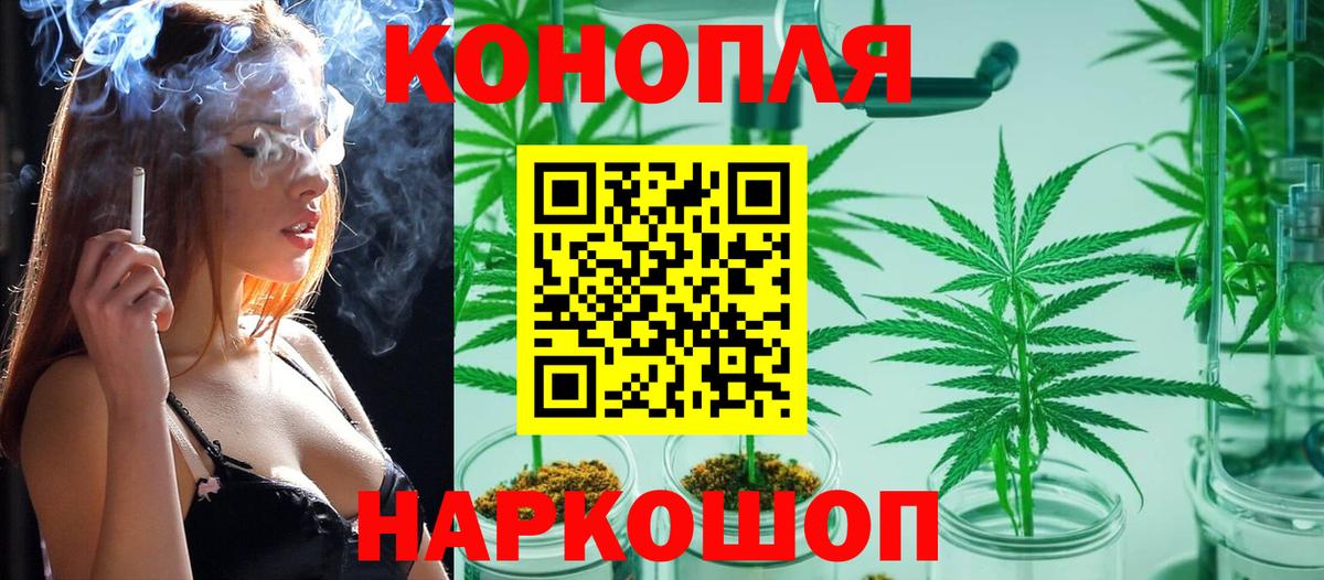 Канабис OG Kush Карачаевск